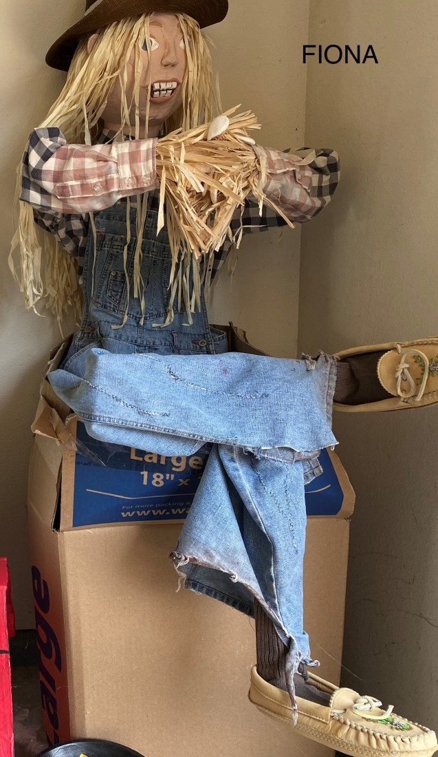 Scarecrow Rentals & Sales - Fallbrook Chamber of Commerce - fiona