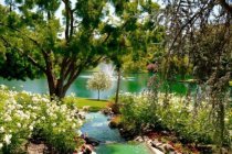 Fallbrook CA Tourism - Find Fallbrook and Discover the Charm of Small Town America! - GrandTraditionWEB