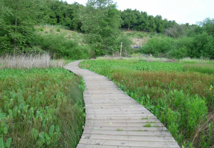 Fallbrook CA Tourism - Find Fallbrook and Discover the Charm of Small Town America! - LosJilgueros_boardwalk